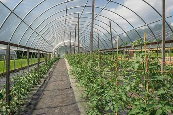 polycarbonate-sheets-pudukkottai